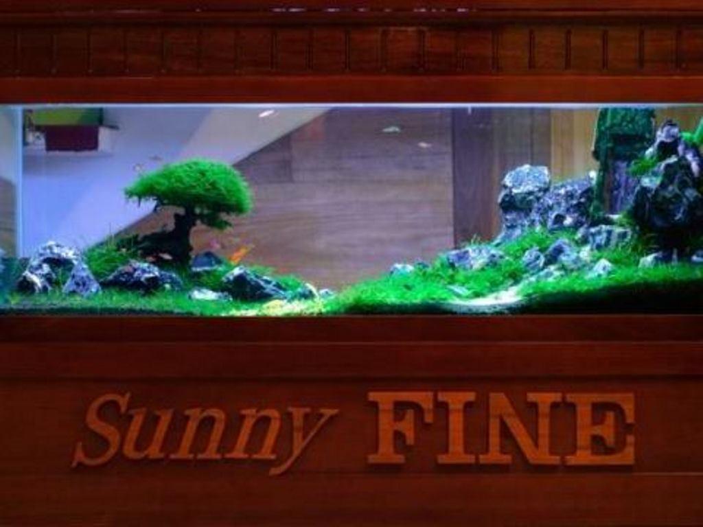 Sunny Fine Pensión Hue Exterior foto
